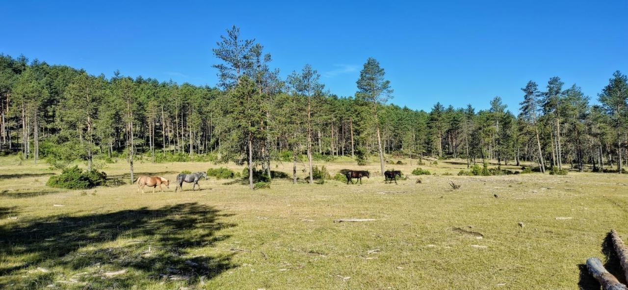 Alojamiento Rural Los Gancheros 特拉加斯特 外观 照片